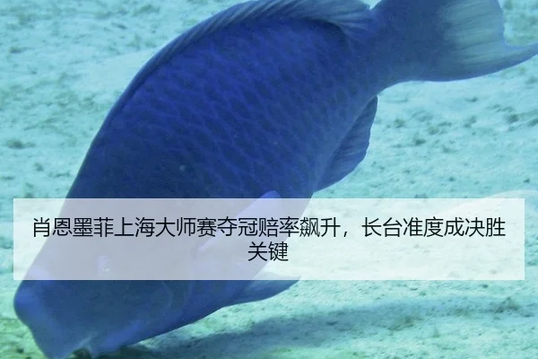 肖恩墨菲上海大师赛夺冠赔率飙升，长台准度成决胜关键