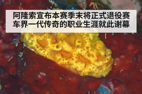 阿隆索宣布本赛季末将正式退役赛车界一代传奇的职业生涯就此谢幕